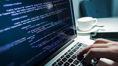 就业率最高的十大专业 软件工程居首，信息技术咨询前景广阔